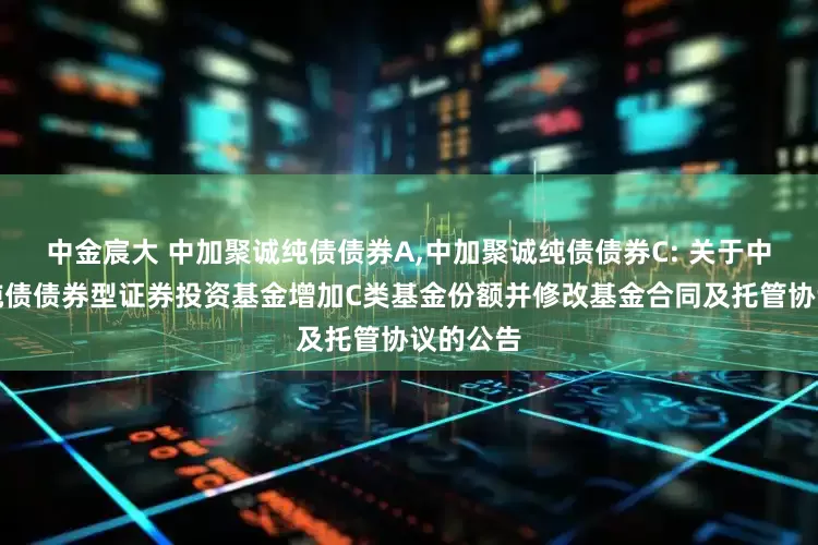 中金宸大 中加聚诚纯债债券A,中加聚诚纯债债券C: 关于中加聚诚纯债债券型证券投资基金增加C类基金份额并修改基金合同及托管协议的公告