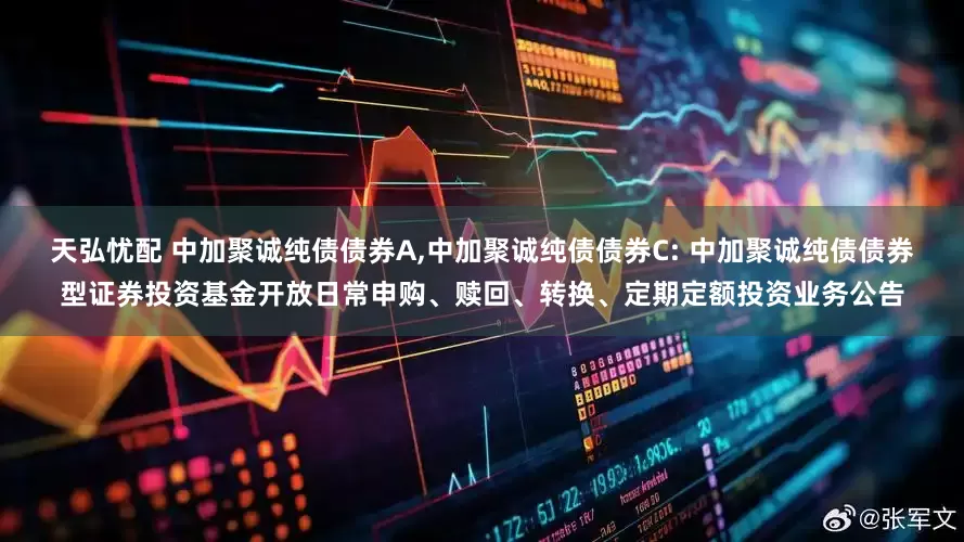 天弘忧配 中加聚诚纯债债券A,中加聚诚纯债债券C: 中加聚诚纯债债券型证券投资基金开放日常申购、赎回、转换、定期定额投资业务公告