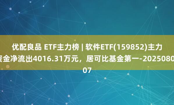 优配良品 ETF主力榜 | 软件ETF(159852)主力资金净流出4016.31万元，居可比基金第一-20250807