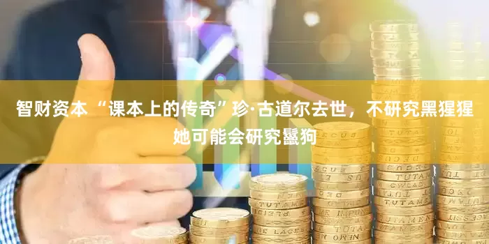 智财资本 “课本上的传奇”珍·古道尔去世，不研究黑猩猩她可能会研究鬣狗