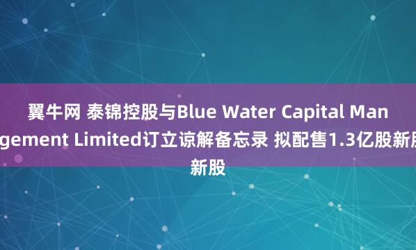 翼牛网 泰锦控股与Blue Water Capital Management Limited订立谅解备忘录 拟配售1.3亿股新股