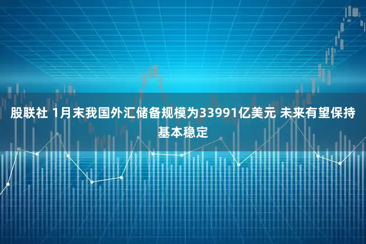 股联社 1月末我国外汇储备规模为33991亿美元 未来有望保持基本稳定
