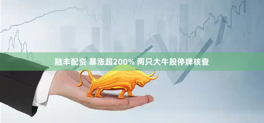 融丰配资 暴涨超200% 两只大牛股停牌核查