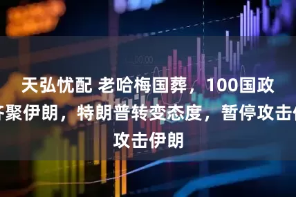 天弘忧配 老哈梅国葬,100国政要齐聚伊朗,特朗普转变态度,暂停攻击伊朗